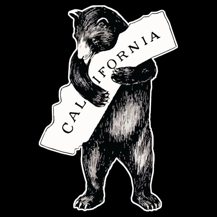 Bear Hug I Love California Artretro Vintage Cali Bear T-Shirt