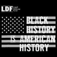 Black History Is American History Ldf Sustainable Bucket Hat