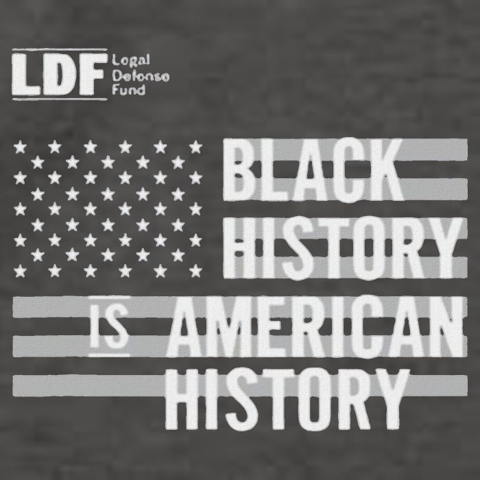 Black History Is American History Ldf Vector Backpack