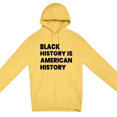 Black History Is American History Gift Premium Pullover Hoodie