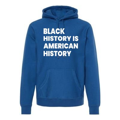 Black History Is American History Gift Premium Hoodie