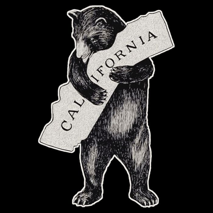 Bear Hug I Love California Art Retro Vintage Cali Bear Kids Hoodie