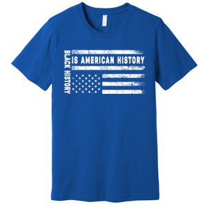 Black History Is American History Black History Month Gift Premium T-Shirt