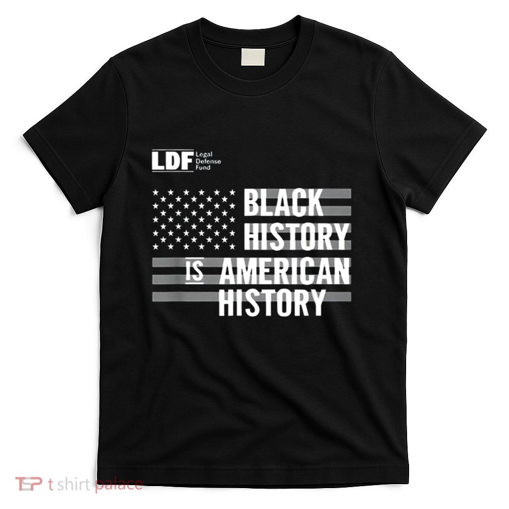 Black History Is American History Ldf T-Shirt