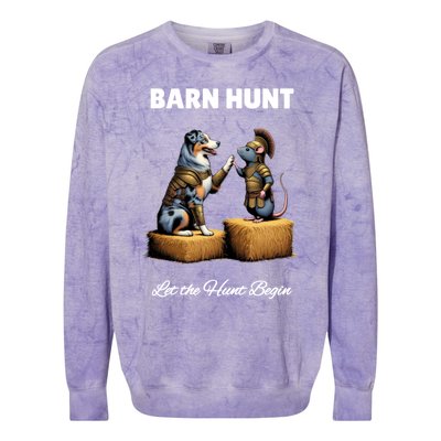 Barn Hunt Lover Cute Warrior Rat And Blue Merle Aussie Dog Gift Colorblast Crewneck Sweatshirt