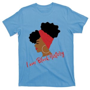 Black History Month Afro Puffs Gift For Black Gift T-Shirt