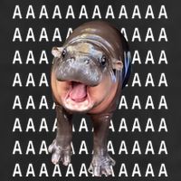 Baby Hippo Moo Deng Cool Comfort Performance Bucket Hat