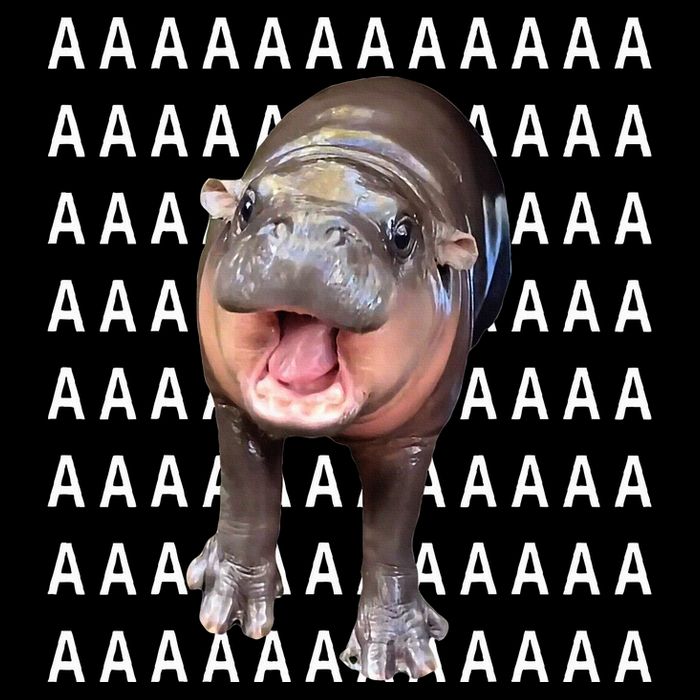 Baby Hippo Moo Deng Backpack