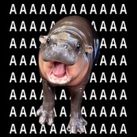 Baby Hippo Moo Deng 7-Panel Snapback Hat