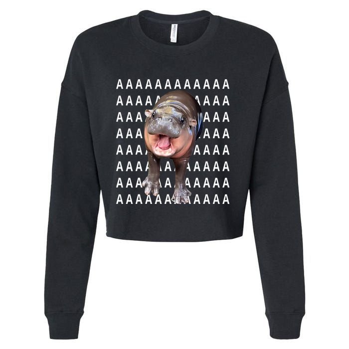 Baby Hippo Moo Deng Cropped Pullover Crew