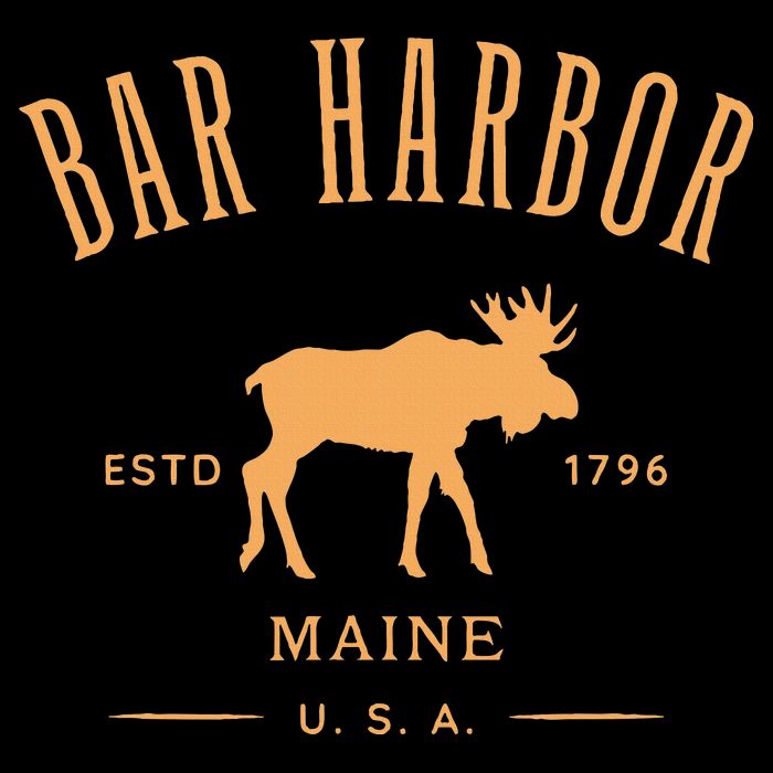 Bar Harbor Maine Usa With Moose Design Souvenir Sustainable Beanie