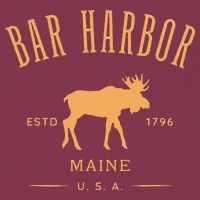 Bar Harbor Maine Usa With Moose Design Souvenir 16oz Travel Tumbler