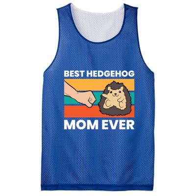 Best Hedgehog Mom Ever Love Hedgehogs Gift Mesh Reversible Basketball Jersey Tank