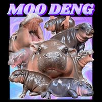 Baby Hippo Moo Deng Magnet