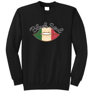 Black History Power Gift Melanin American African Pride SOUL Black History Month Sweatshirt