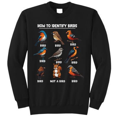 Bird How To Identify Birds Birds Lovers Watching Sweatshirt