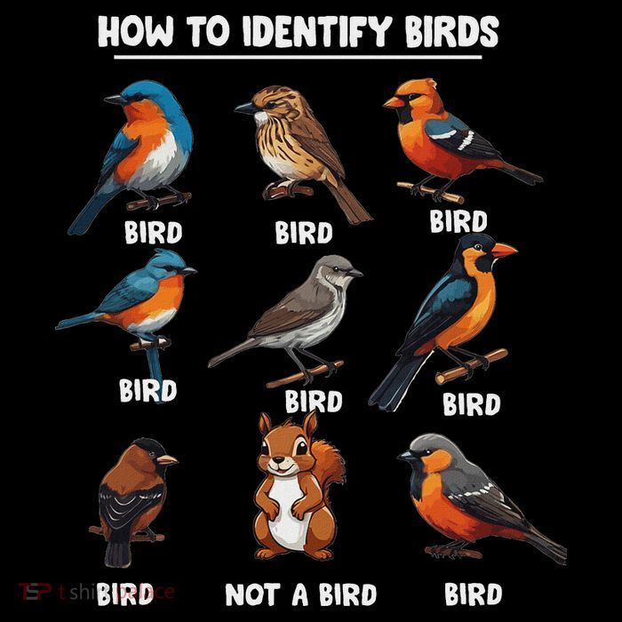 Bird How To Identify Birds Birds Lovers Watching T-Shirt