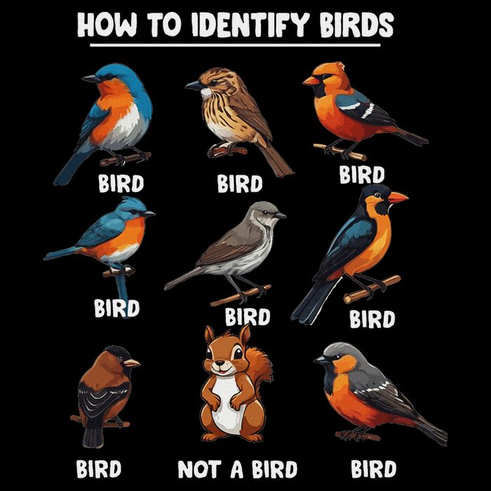 Bird How To Identify Birds Birds Lovers Watching Drawstring Bag
