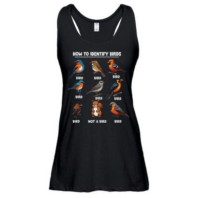 Bird How To Identify Birds Birds Lovers Watching Ladies Essential Flowy Tank
