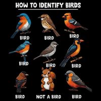 Bird How To Identify Birds Birds Lovers Watching 16 in Basic Backpack