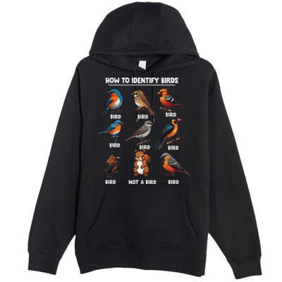 Bird How To Identify Birds Birds Lovers Watching Premium Pullover Hoodie