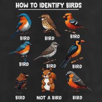 Bird How To Identify Birds Birds Lovers Watching 12oz Stainless Steel Coffee Mug