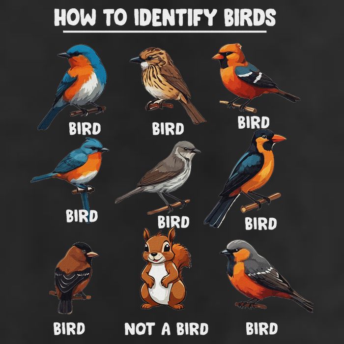 Bird How To Identify Birds Birds Lovers Watching 12oz Stainless Steel Coffee Mug