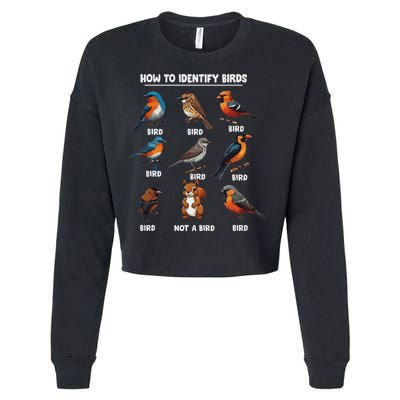 Bird How To Identify Birds Birds Lovers Watching Cropped Pullover Crew