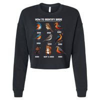 Bird How To Identify Birds Birds Lovers Watching Cropped Pullover Crew