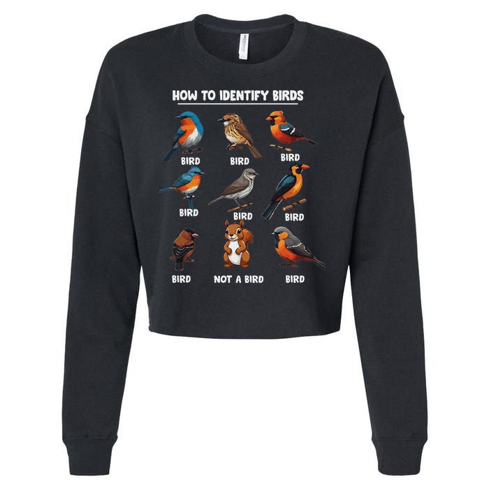 Bird How To Identify Birds Birds Lovers Watching Cropped Pullover Crew