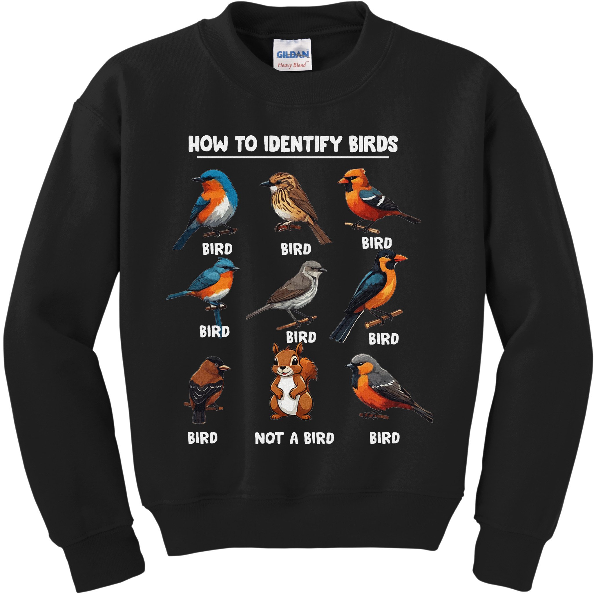 Bird How To Identify Birds Birds Lovers Watching Kids Sweatshirt