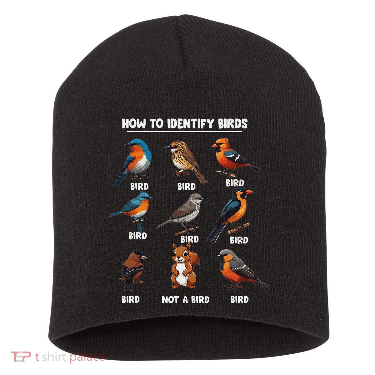 Bird How To Identify Birds Birds Lovers Watching Short Acrylic Beanie