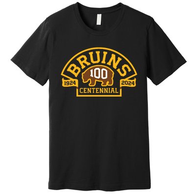 Bruins Hockey Team 100th Season Hockey 2024 Premium T-Shirt