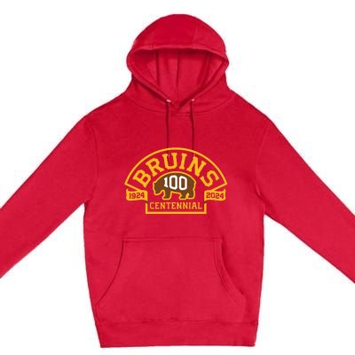 Bruins Hockey Team 100th Season Hockey 2024 Premium Pullover Hoodie