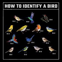 Birdwatcher How To Identify A Bird Bird Lover Birder 16 in Basic Backpack