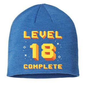 Born In 2003 Level 18 Complete 18th Birthday Retro Gaming Gift Sustainable Beanie