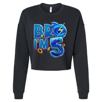 Bro I’M 5 Birthday Boy Matching Hedgehog Party Cropped Pullover Crew