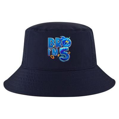 Bro I’M 5 Birthday Boy Matching Hedgehog Party Cool Comfort Performance Bucket Hat
