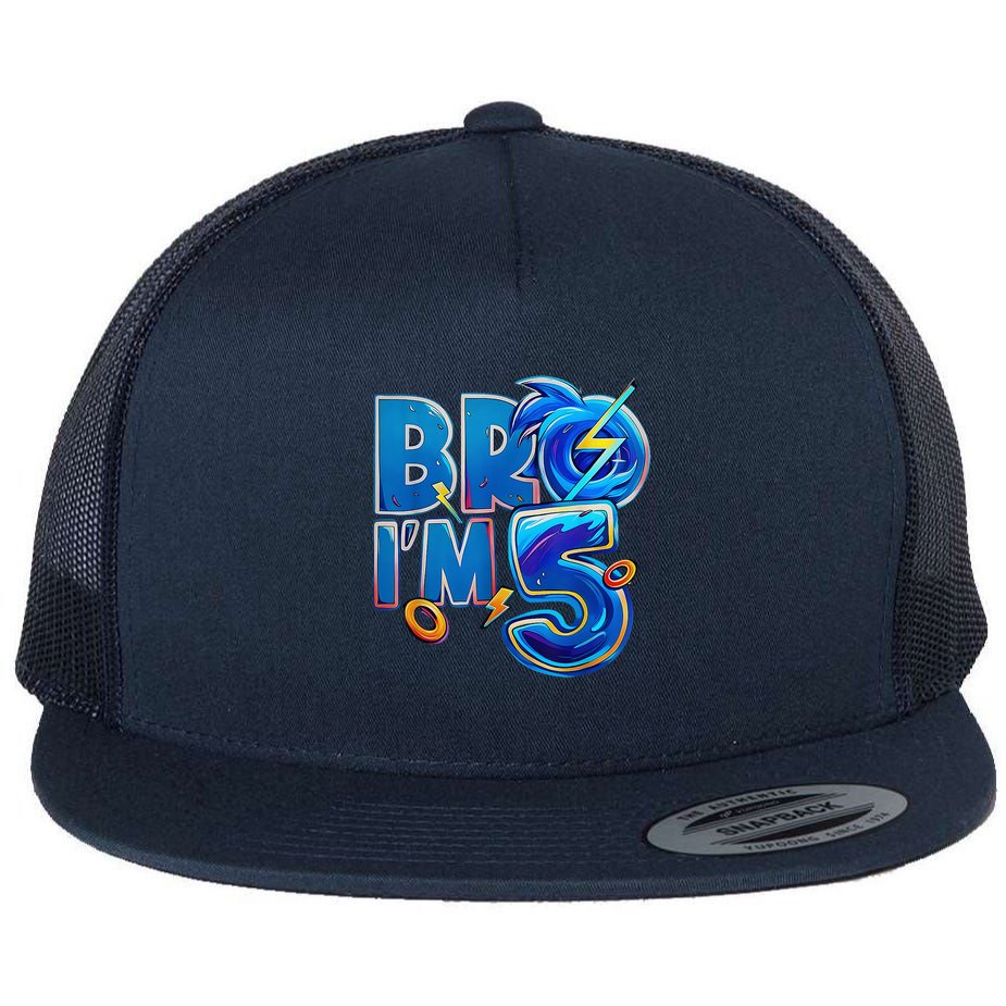 Bro I’M 5 Birthday Boy Matching Hedgehog Party Flat Bill Trucker Hat