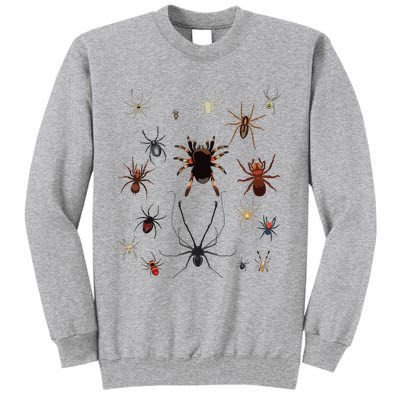 Bruh Im 6 Year Old Birthday Spider Web Tall Sweatshirt