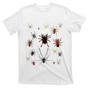 Bruh Im 6 Year Old Birthday Spider Web T-Shirt