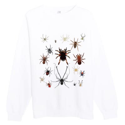 Bruh Im 6 Year Old Birthday Spider Web Premium Crewneck Sweatshirt