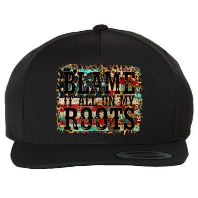 Blame It All On My Roots Country Music Vintage Usa Flag Wool Snapback Cap