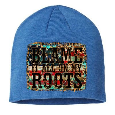 Blame It All On My Roots Country Music Vintage Usa Flag Sustainable Beanie