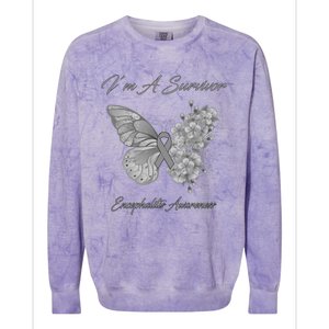 Butterfly I’m A Survivor Encephalitis Awareness Great Gift Colorblast Crewneck Sweatshirt