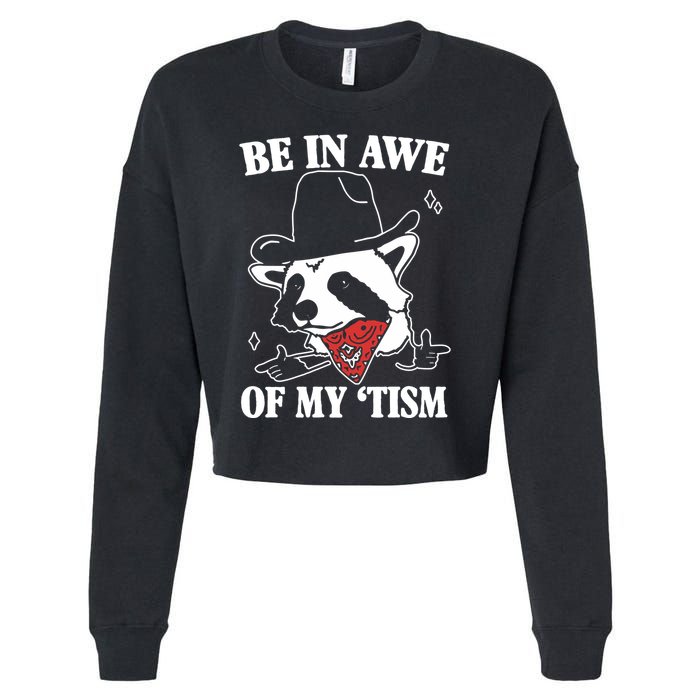 Be In Awe Of My Autism Funny Raccoon Cropped Pullover Crew