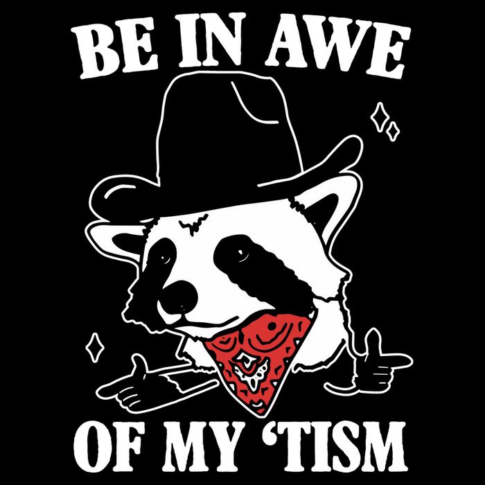Be In Awe Of My Autism Funny Raccoon Cropped Pullover Crew