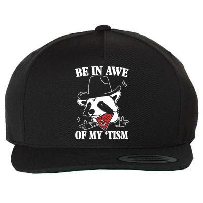 Be In Awe Of My Autism Funny Raccoon Wool Snapback Cap