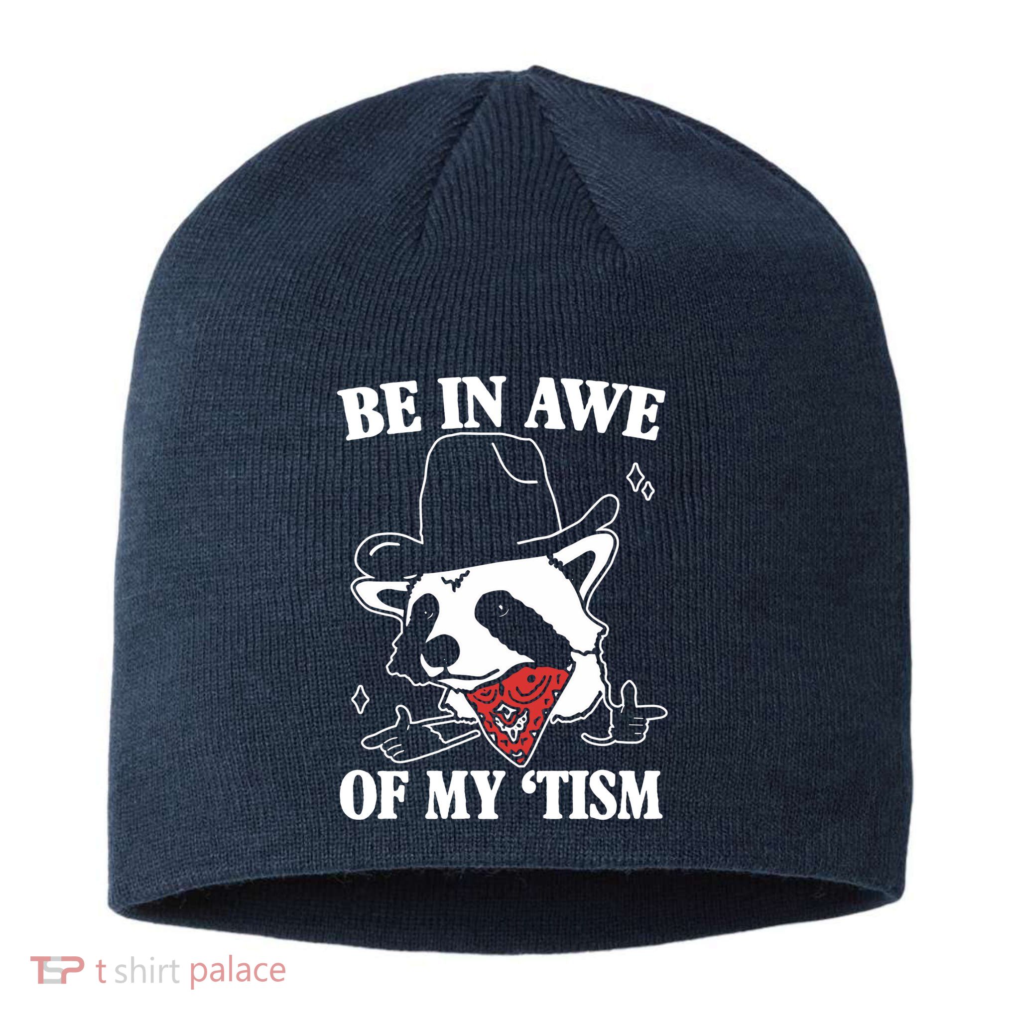 Be In Awe Of My Autism Funny Raccoon Sustainable Beanie