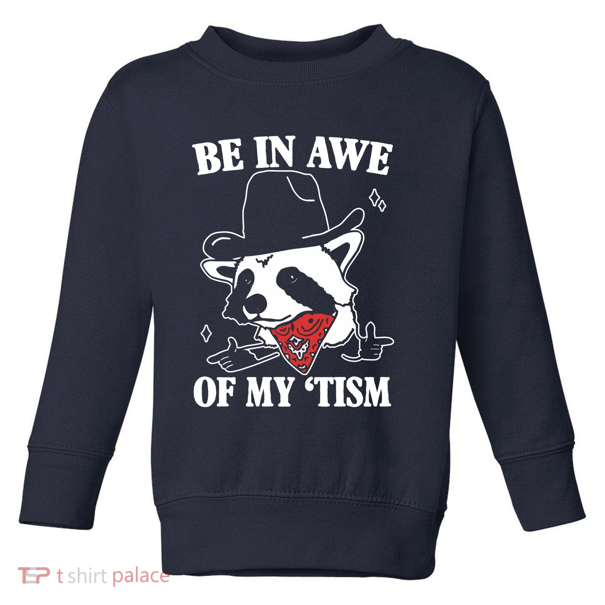 Be In Awe Of My Autism Funny Raccoon Toddler Sweatshirt